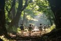 日本是枝裕和新作怪物剧照，小学生在山野中奔跑，阳光穿透树林，温柔而神秘